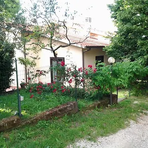 agriturismo-norianino.it-tuscanyhotel.com/